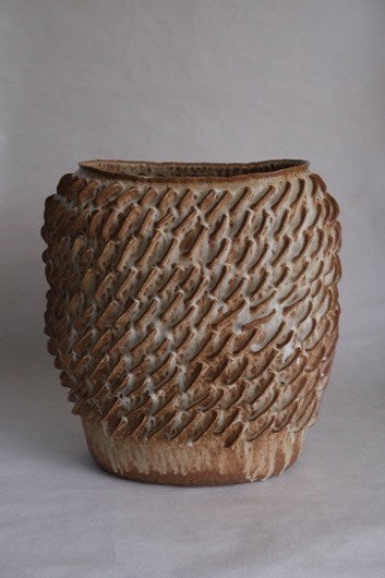 Finned Vessel 01