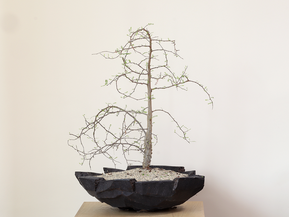 Stoneware Planter