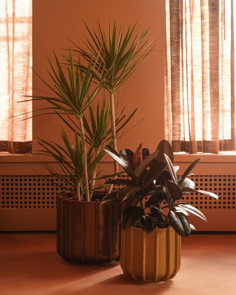 Planter No. I