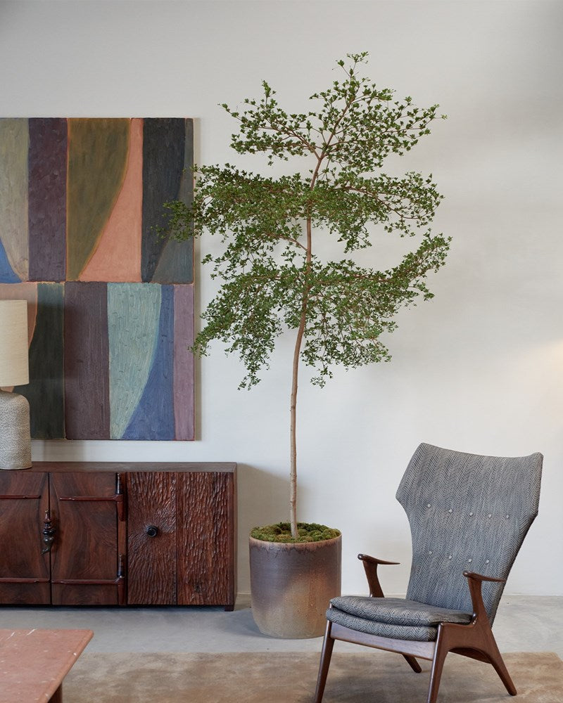 Desert Sunset Planter (with 9ft Black Olive Tree $3,334)