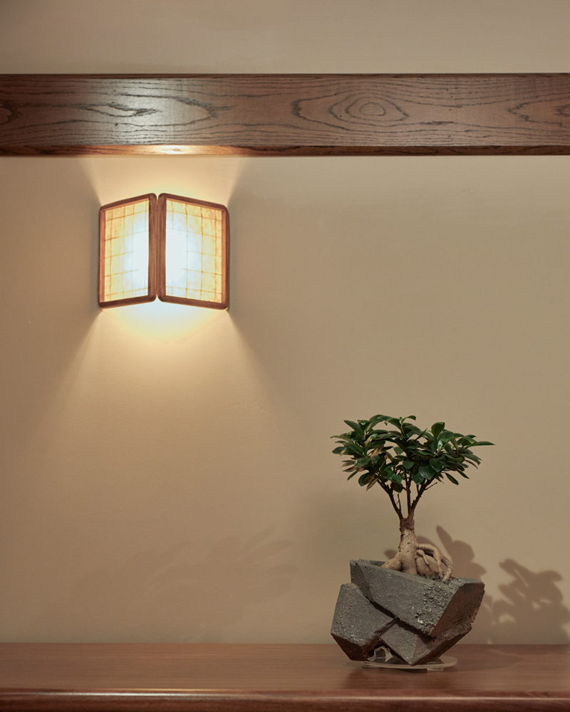 Ficus Ginseng in Jonathon Cross Vessel