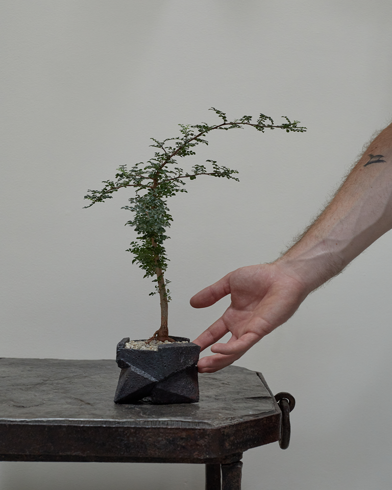 Small Decaryi in Small Jonathan Cross Vessel
