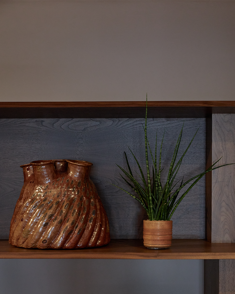 Sanservieria in Small Ribbed Ceramic Pot