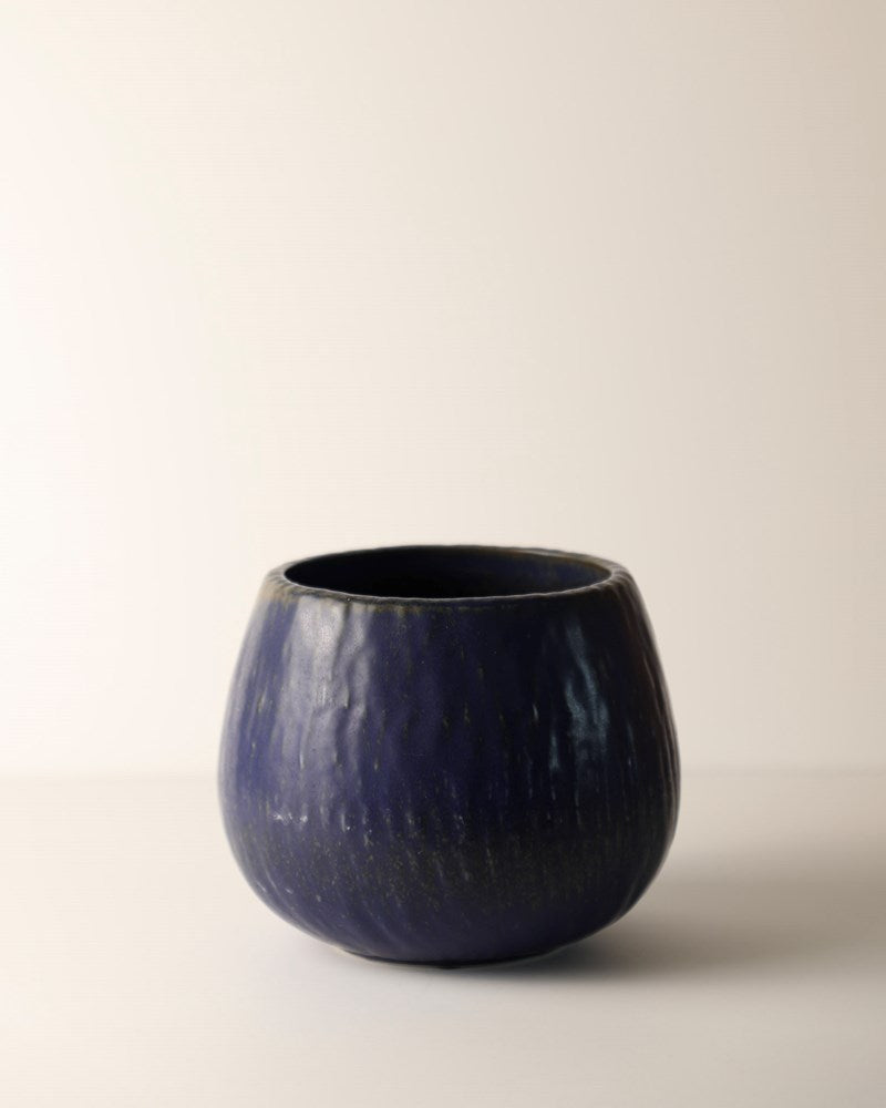 Rubus Jar by Rörstrand