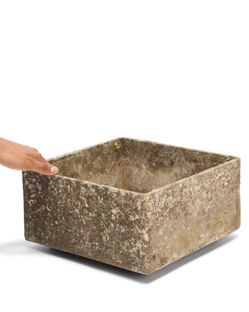 Medium Willy Guhl Square Planter