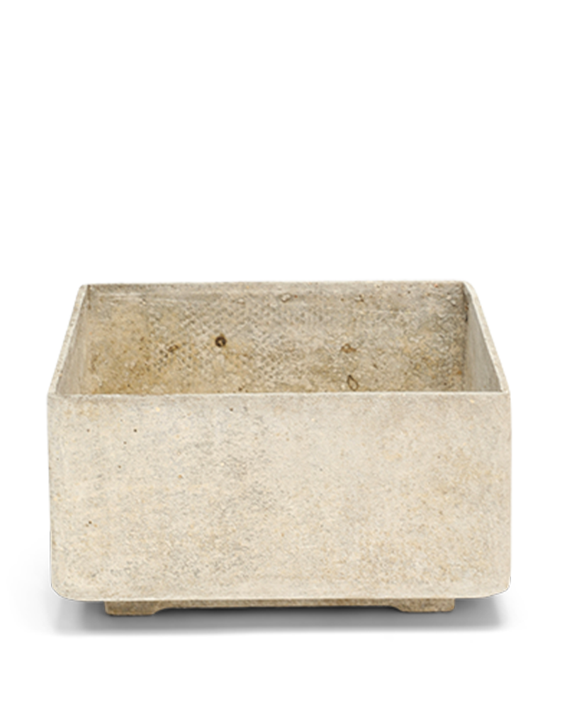 Medium Willy Guhl Square Planter