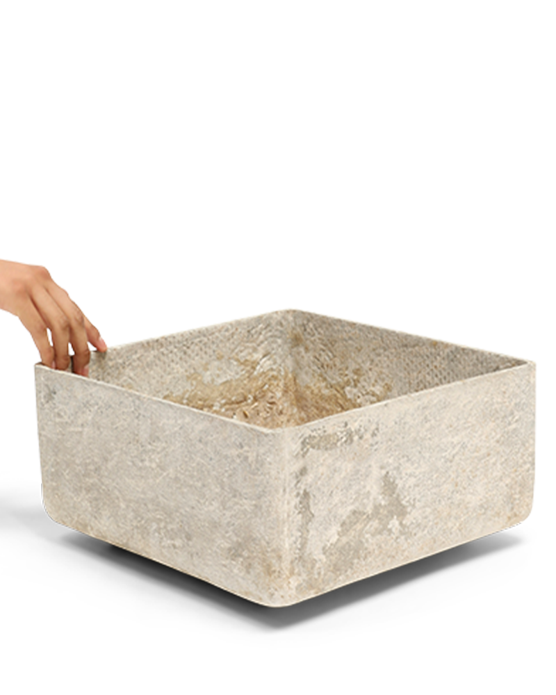 Medium Willy Guhl Square Planter