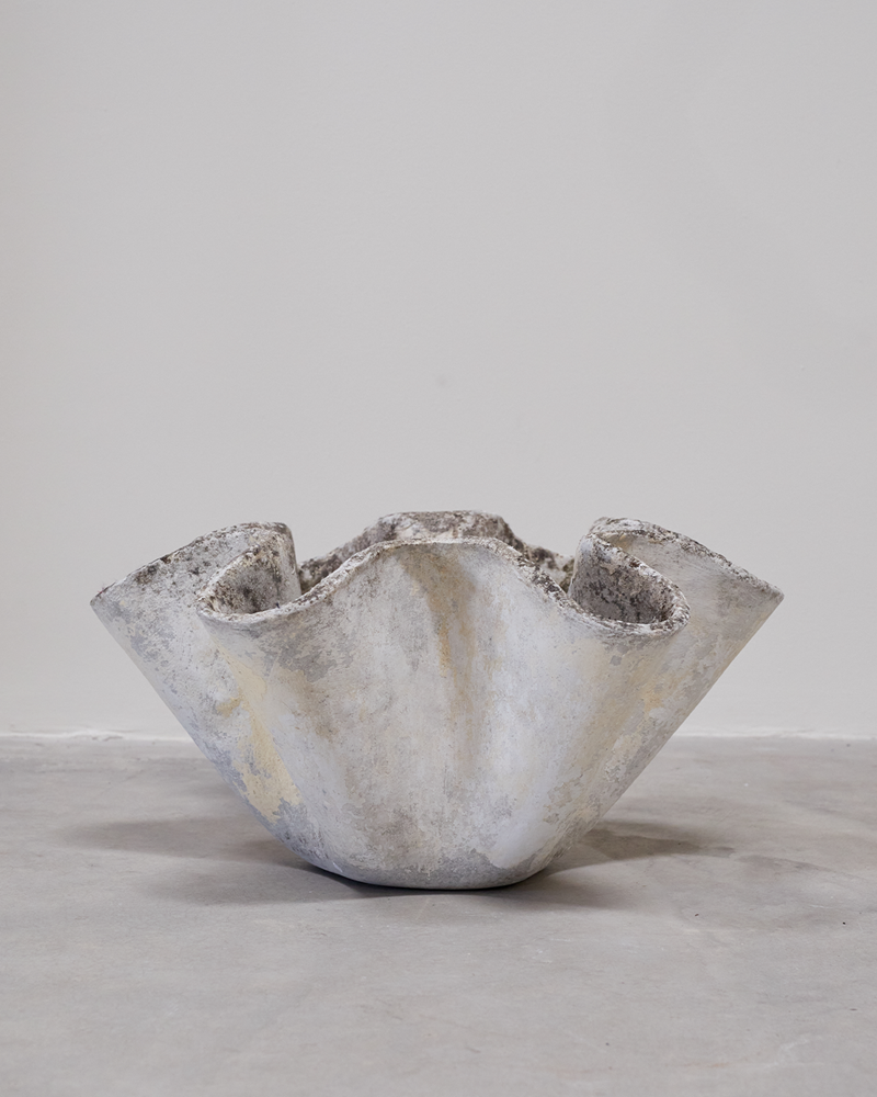 Willy Gulh Elephant Ear Planter