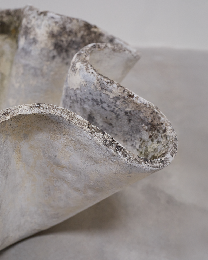 Willy Gulh Elephant Ear Planter