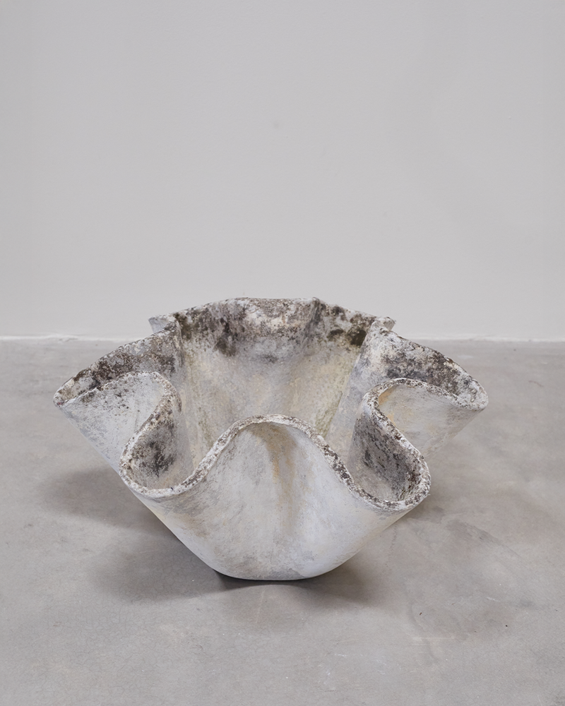 Willy Gulh Elephant Ear Planter