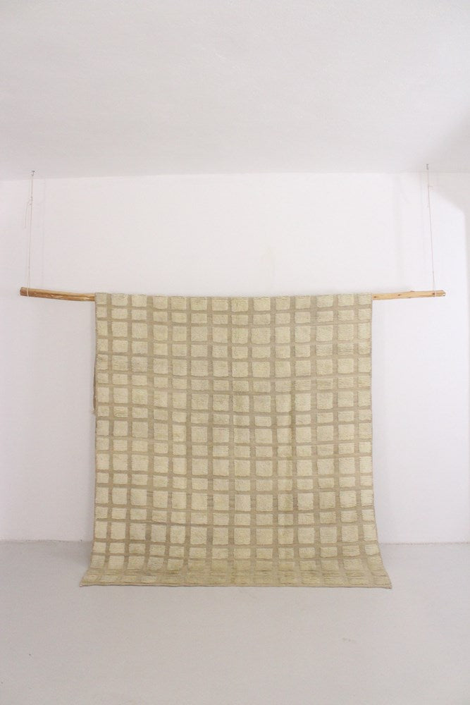 Taznakht Tufted Kilim Rug