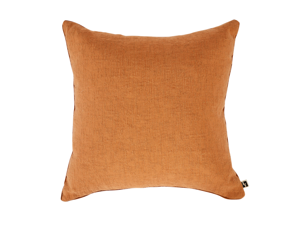 Josh Greene Design x LF Pillow
