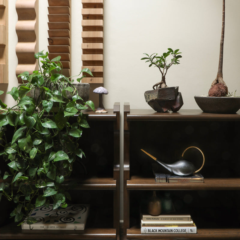 Day Two - The Botanist