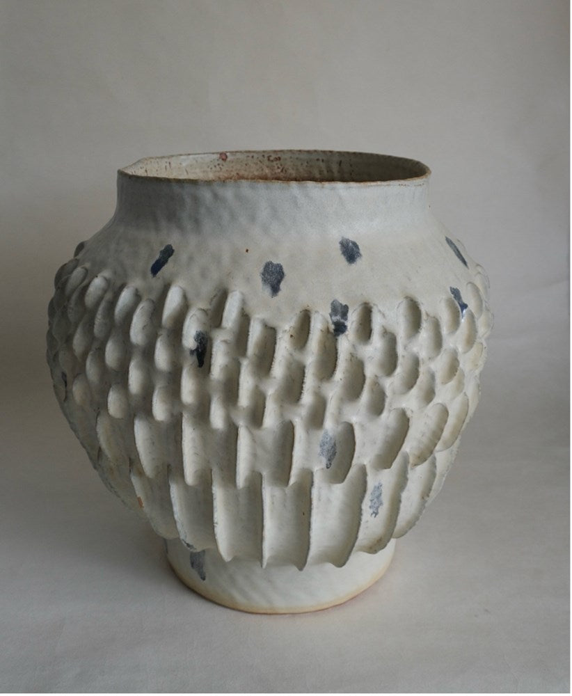 Finned Vessel 02