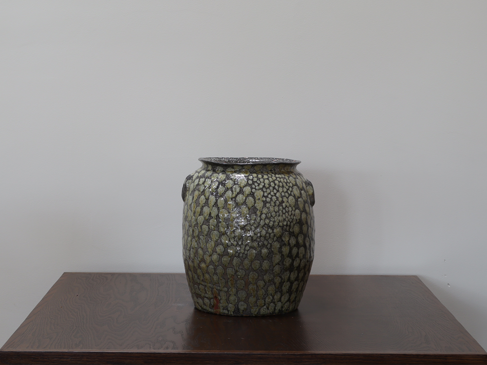 Dotted Vessel