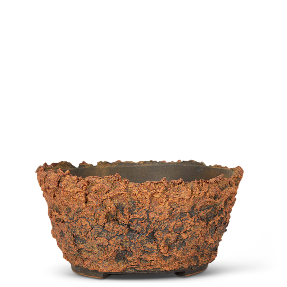 Broken Earth Bowl