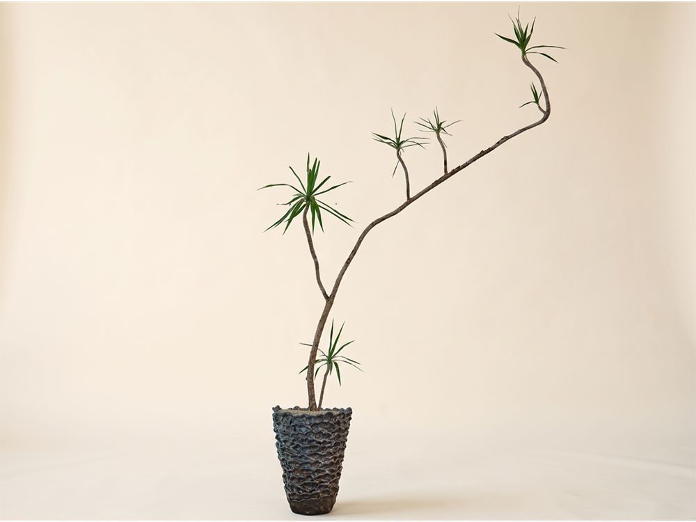 Slag Vessel I