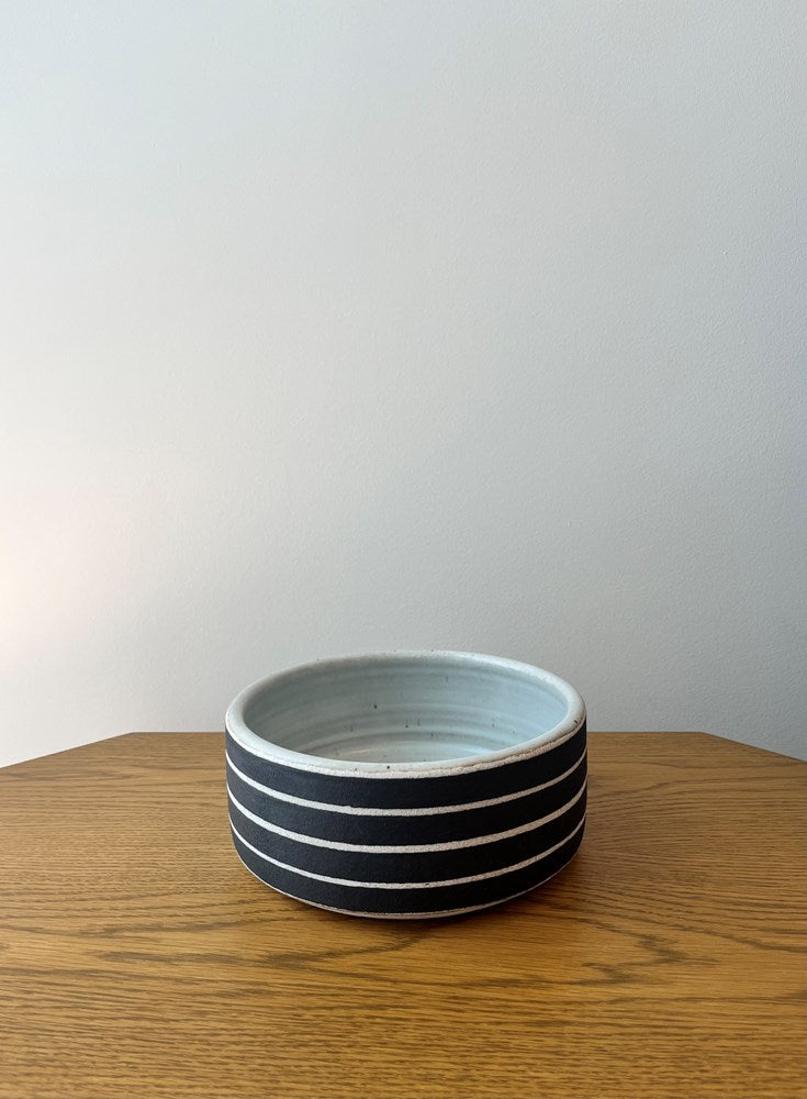 Dog Bowl: Rings