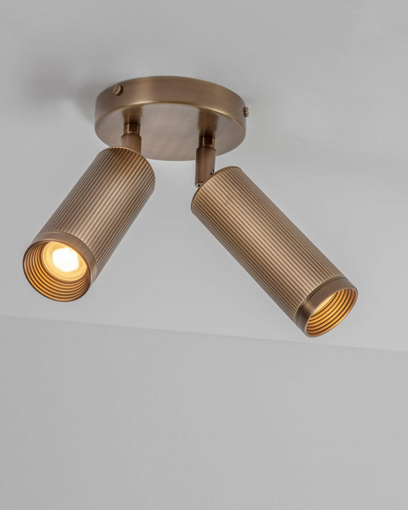 Spot Double Ceiling Light