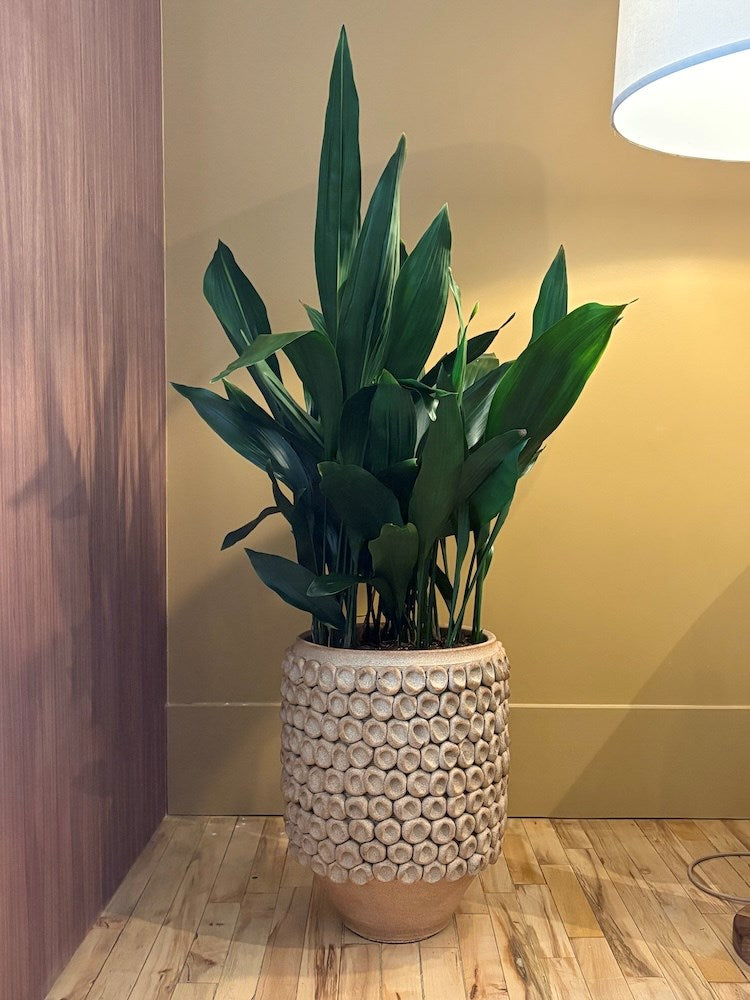 Imprint Planter