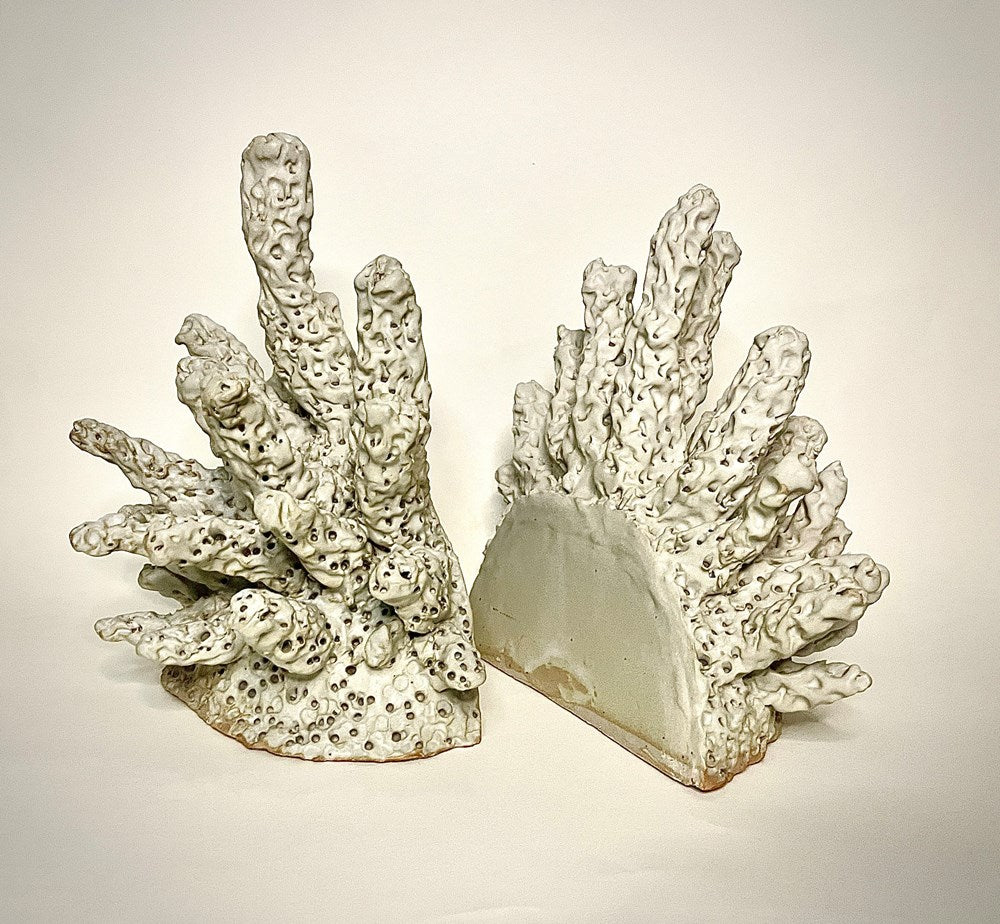 Classic Coral Bookends