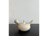 Ceramic Tea Pot