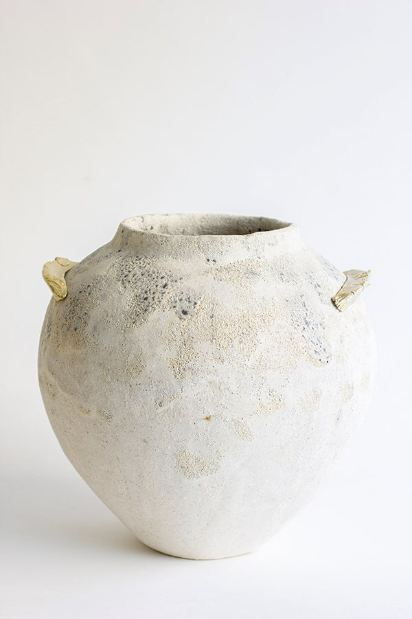 Isolated N. 10 Vessel